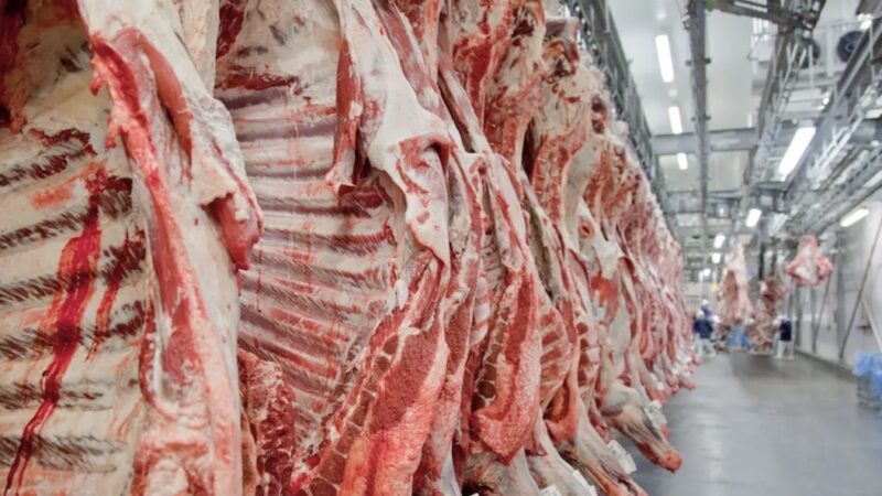 Mato Grosso aumenta 31% exportações de carne; China compra mais