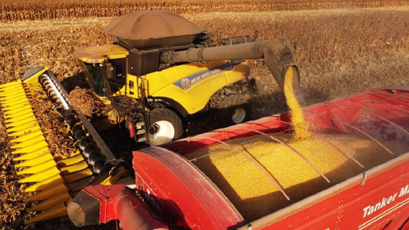 Venda de milho chega a 62% da safra em Mato Grosso