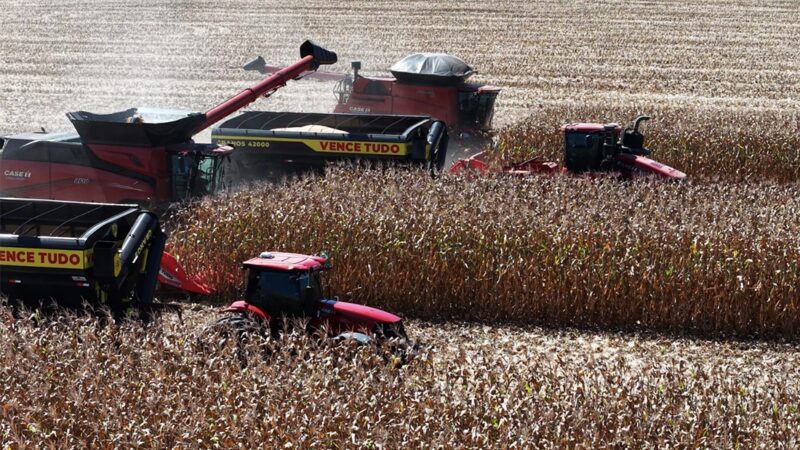 Concluída colheita de milho em Mato Grosso com duas semanas de atraso
