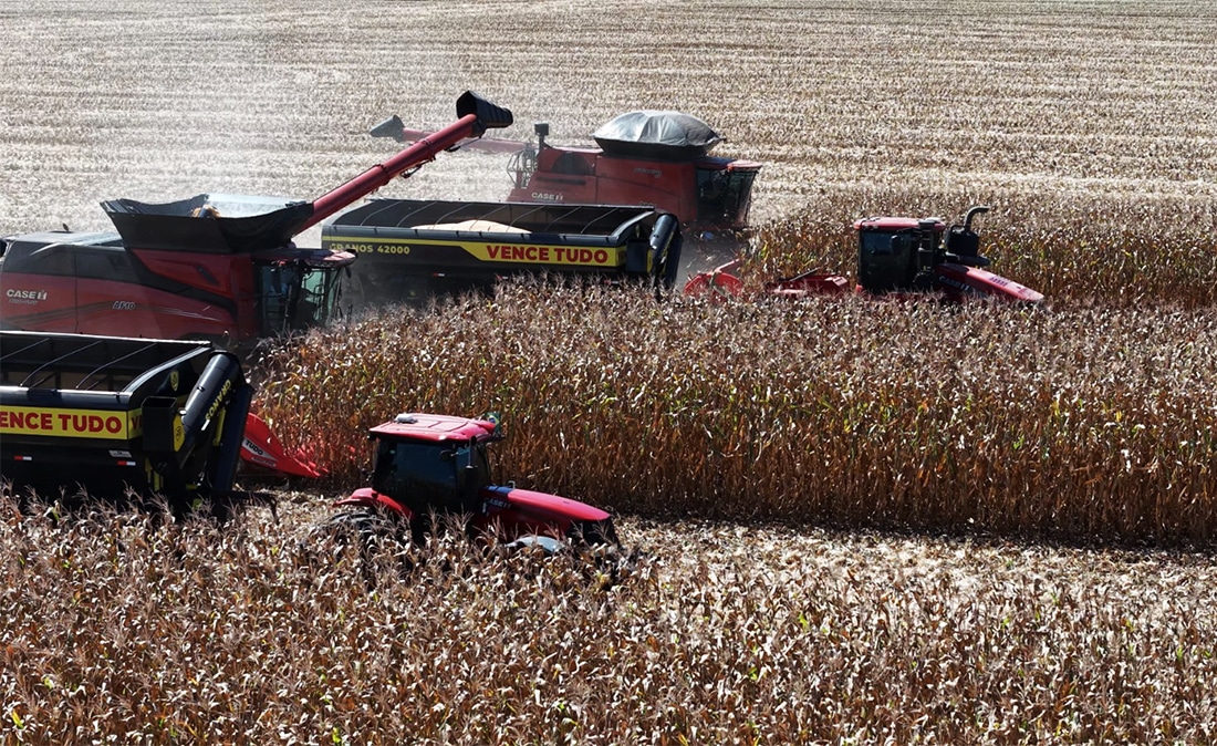 Concluída colheita de milho em Mato Grosso com duas semanas de atraso