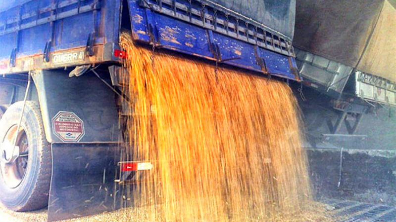 Cotação do milho disponível em Mato Grosso tem alta de 1,2%