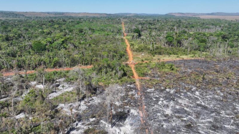 Operação flagra desmatamento e queimadas em área de preservação em Novo Mundo