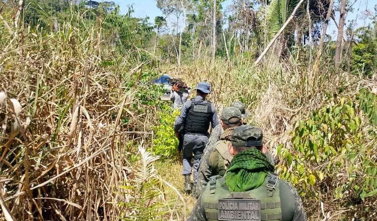 Polícia fecha área de desmatamento ilegal e prende três em Colniza