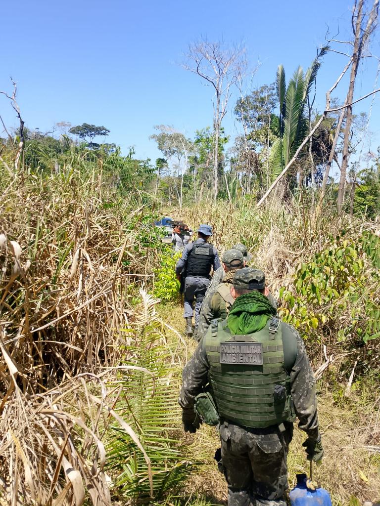 Polícia fecha área de desmatamento ilegal e prende três em Colniza