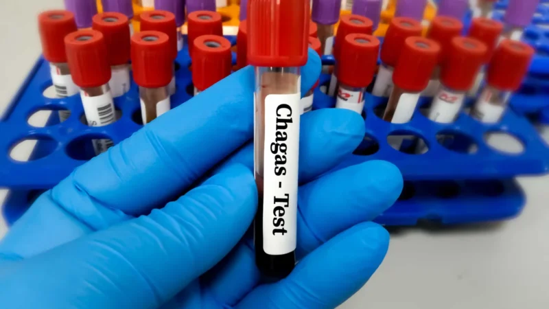 Projeto busca tratar doença de Chagas perto da casa dos pacientes