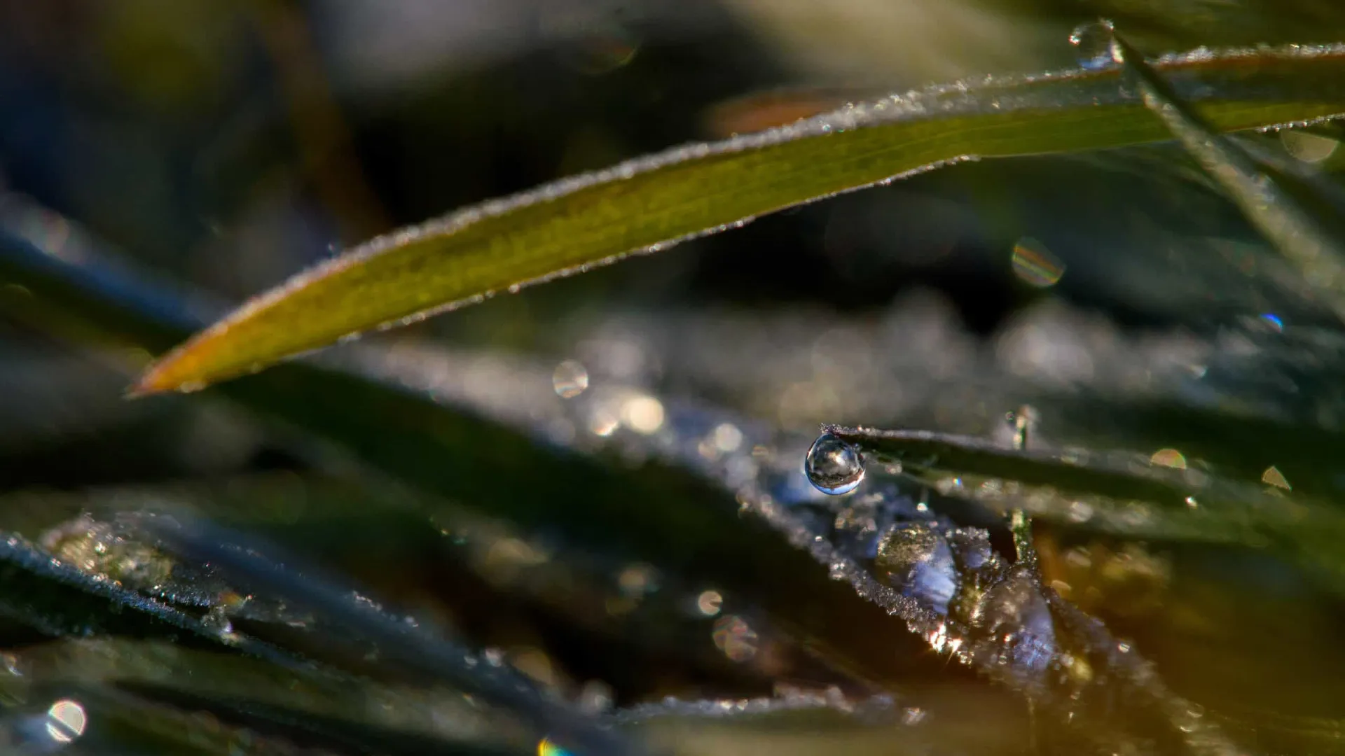 Baixas temperaturas podem causar geadas no Sul e Sudeste, diz Inmet
