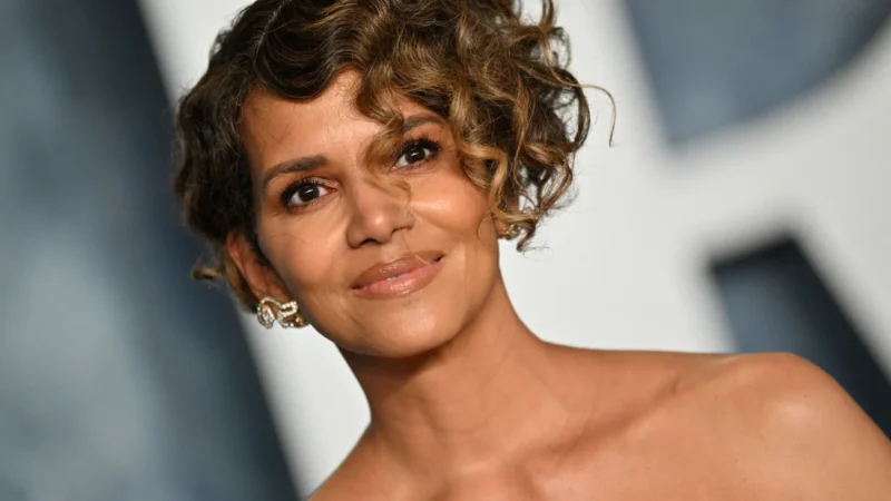 Ex diz que terminou com Halle Berry porque ela não fazia comida e faxina