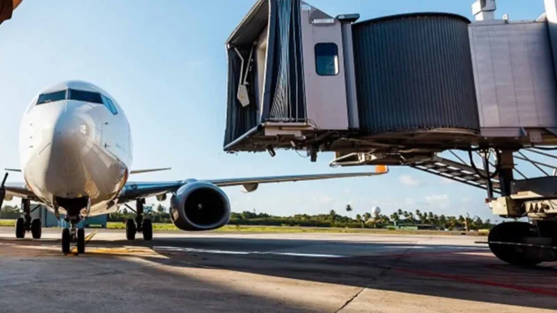 Homem abandona cachorro no aeroporto de Florianópolis e é preso ao chegar a Brasília