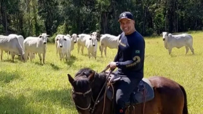 Nas telas em ‘A Viagem’, veja por onde anda Maurício Mattar
