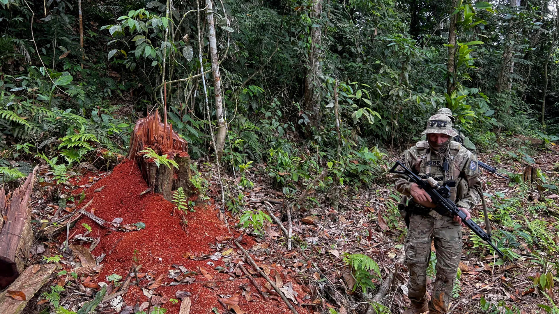 Assassinatos na Amazônia cresceram com caça a aviões clandestinos e tráfico pelos rios, mostra estudo