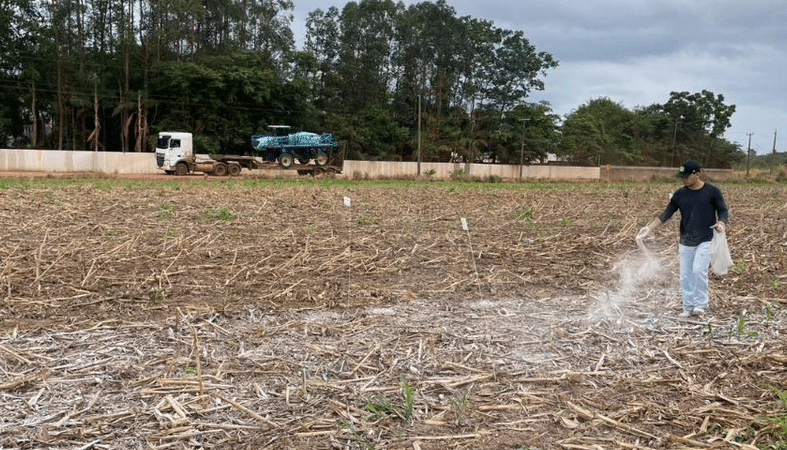 Sinop: pesquisa aponta efeitos promissores da aplicação de calcário e gesso na produtividade da soja