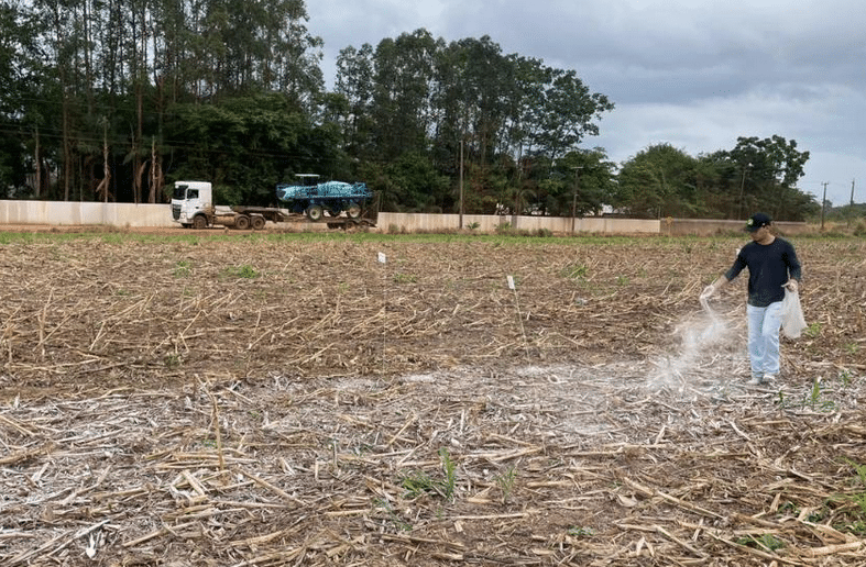 Sinop: pesquisa aponta efeitos promissores da aplicação de calcário e gesso na produtividade da soja