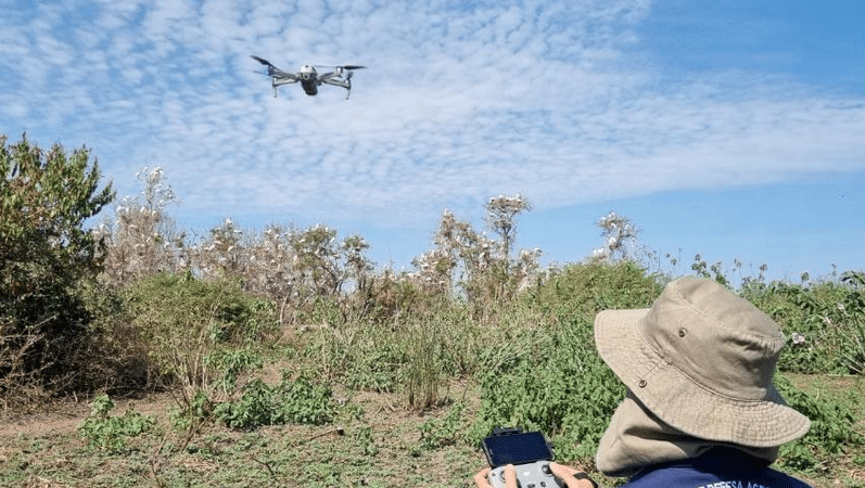 Indea reforça fiscalização em Alta Floresta, Lucas do Rio Verde e Juara com novos drones