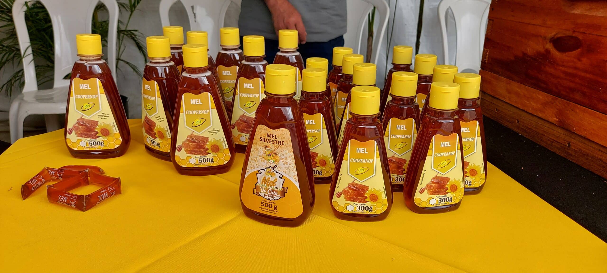 Sinop assume 1º lugar em número de produtores orgânicos de Mato Grosso