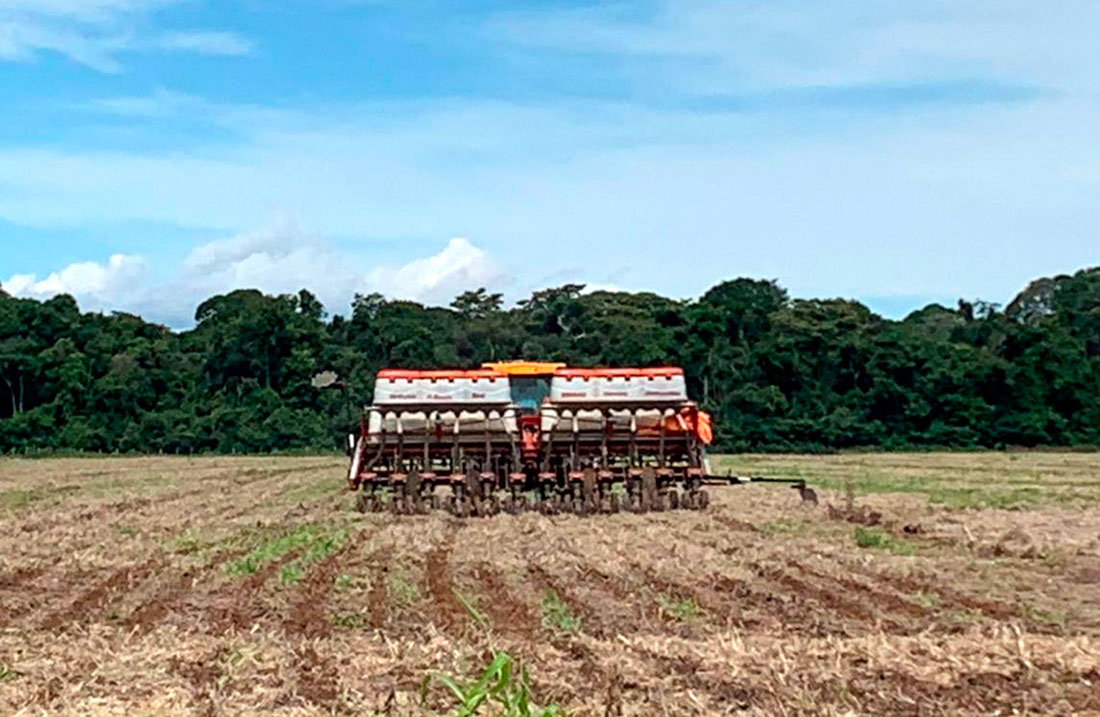Vazio sanitário termina dia 6 mas plantio da soja em MT deve atrasar por falta de chuva