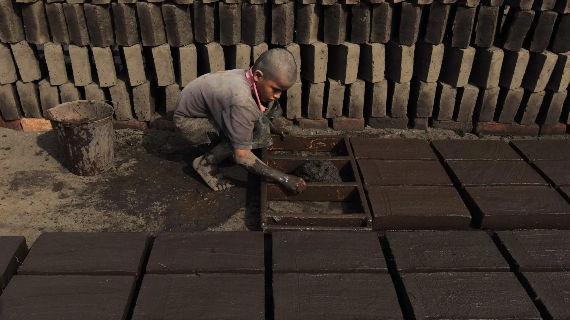 Trabalho infantil volta a subir e afeta 1,650 milhão de crianças e adolescentes, mostra IBGE