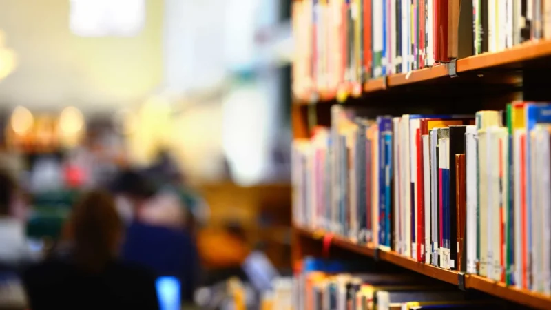 Matrículas no ensino médio integral aumentam 242% de 2016 a 2024 no Brasil