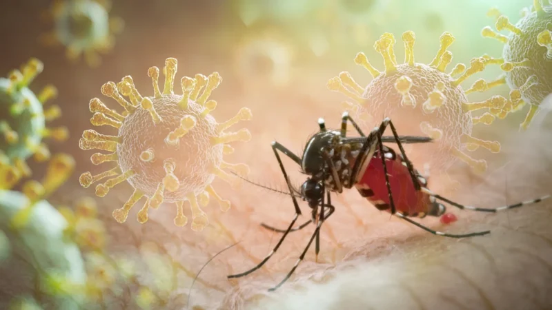 Vírus da chikungunya afeta crianças e adolescentes e deixa sequelas