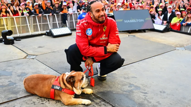 Lewis Hamilton de luto pelo ‘icônico’ Roscoe: “Morreu nos meus braços”