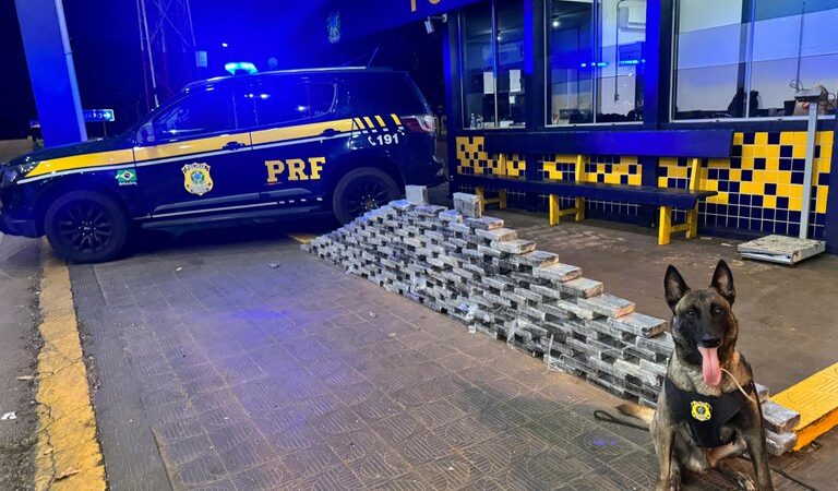 PRF apreende mais de 190 kg de drogas em duas ocorrências na BR-364