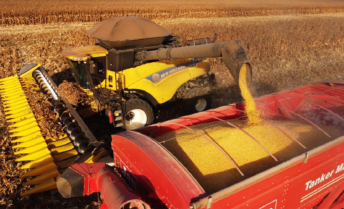 Insumos aumentaram custo da safra de milho em Mato Grosso em 2,8%