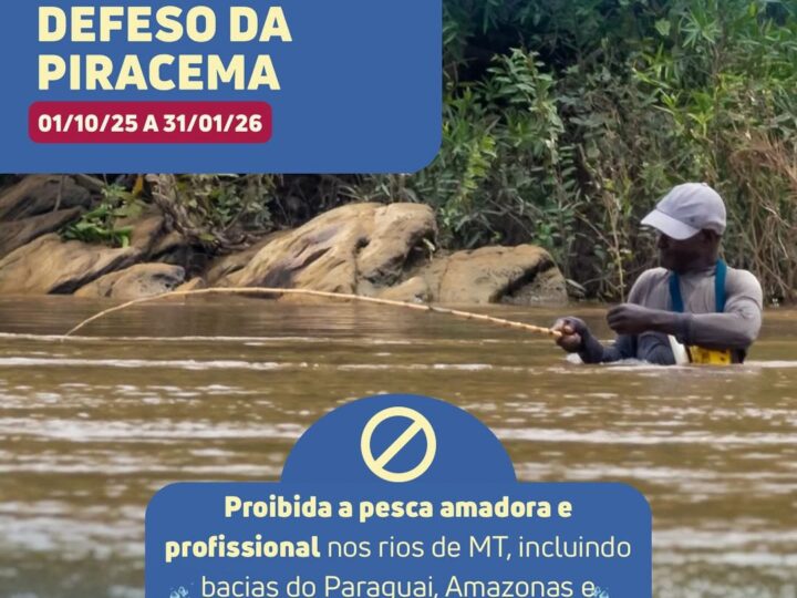 🚫🐟 Piracema começa em Mato Grosso: pesca proibida até janeiro 🐟🚫