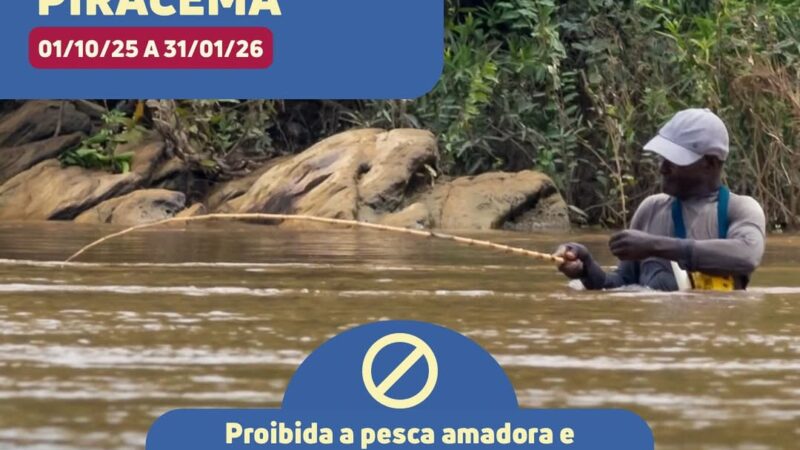 🚫🐟 Piracema começa em Mato Grosso: pesca proibida até janeiro 🐟🚫