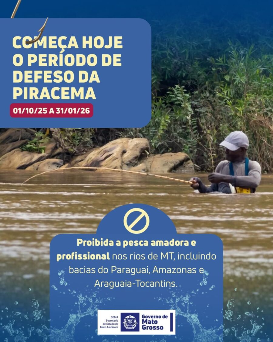🚫🐟 Piracema começa em Mato Grosso: pesca proibida até janeiro 🐟🚫