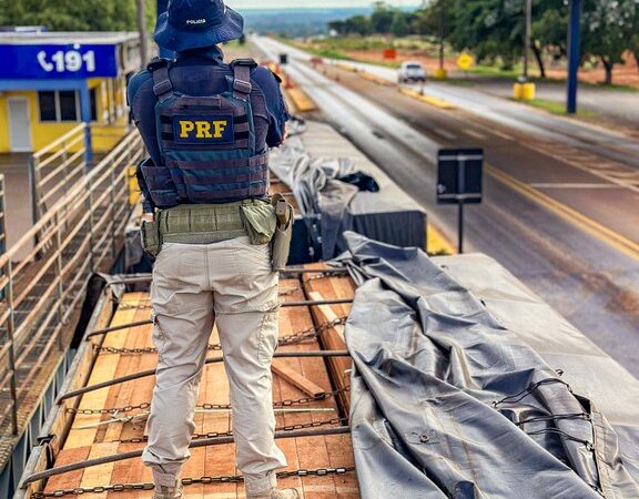 PRF apreende madeira ilegal e drogas em rodovias de Mato Grosso