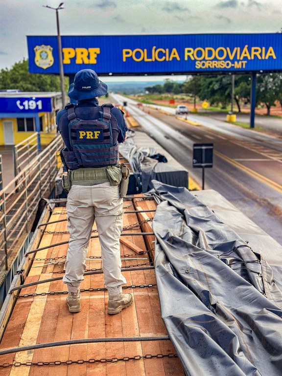 PRF apreende madeira ilegal e drogas em rodovias de Mato Grosso