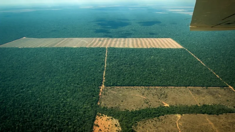 Violência no campo em Mato Grosso cresce mais de 500% e coloca o estado entre os mais perigosos do país, aponta CPT