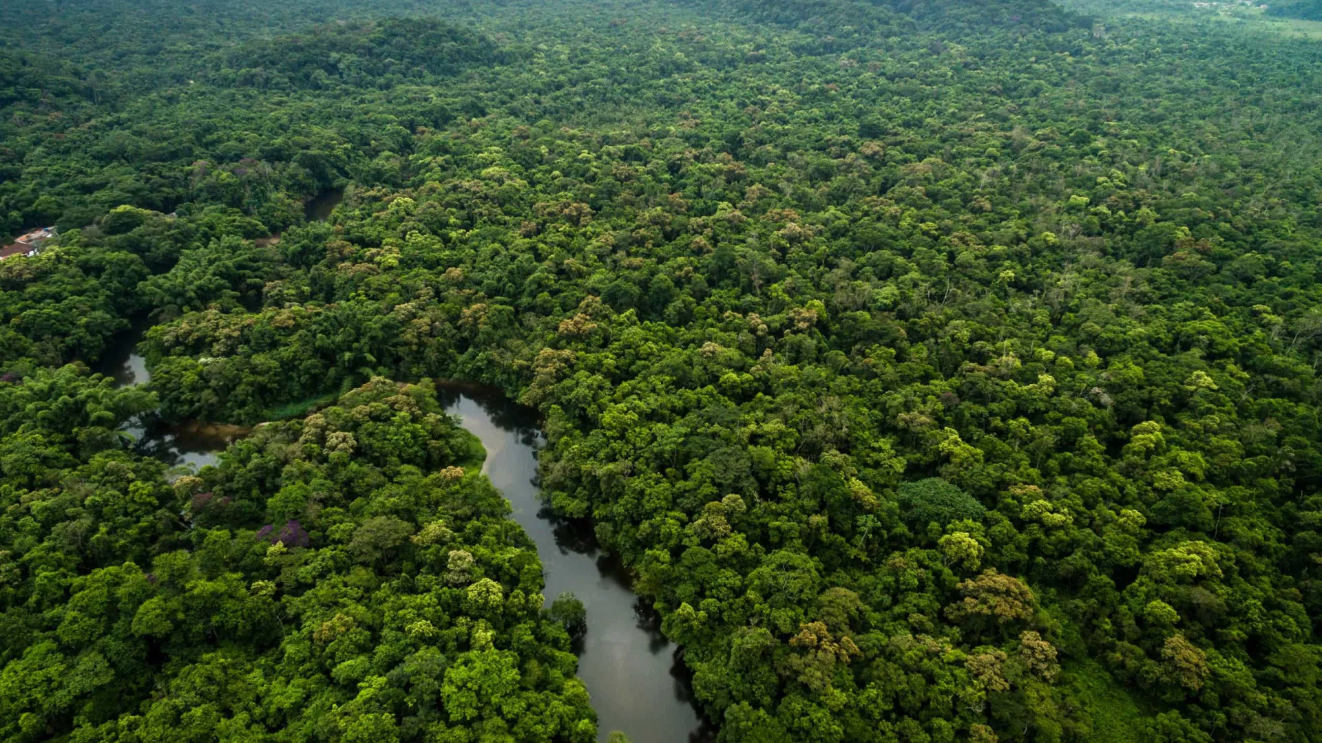 Amazônia registra 3º menor desmatamento da história