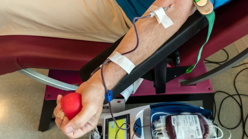Terapia espanhola de células CAR-T para câncer no sangue pode vir para o Brasil