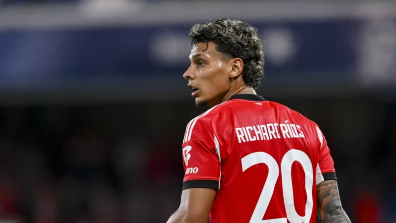 Luisão sai em defesa de Richard Ríos: “Com Mourinho no Benfica…”
