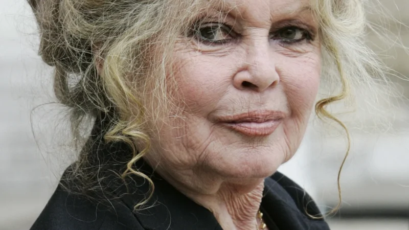 Brigitte Bardot já está em casa após passar por cirurgia