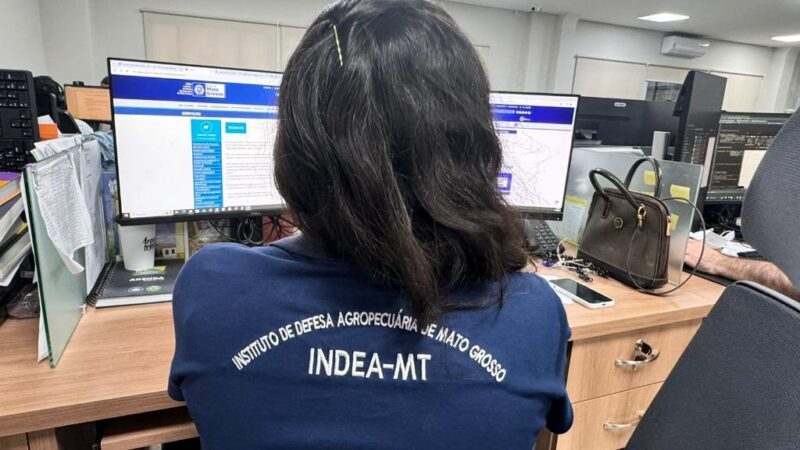 Campanha de Atualização de Rebanhos começa em 1º de novembro; produtores devem informar dados ao Indea