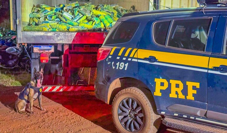 Maior apreensão de skunk do ano é realizada pela PRF em Rondonópolis