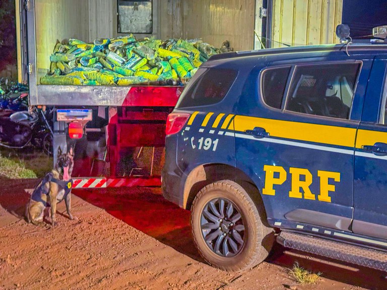 Maior apreensão de skunk do ano é realizada pela PRF em Rondonópolis