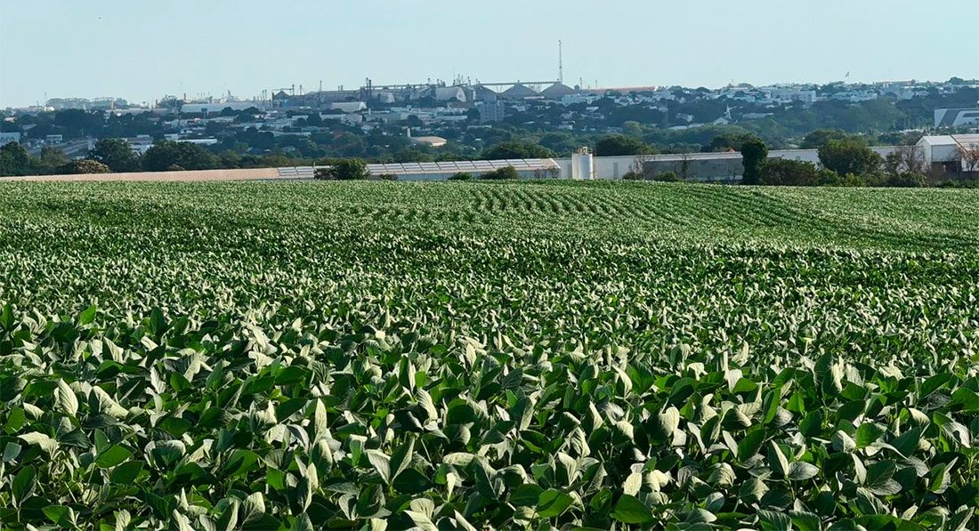Sorriso: plantio de soja atrasa e presidente de sindicato prevê complicações