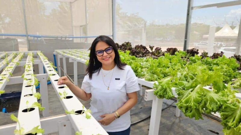 Inaugurada unidade para criação de peixes e plantação de hortaliças em MT; R$ 200 mil