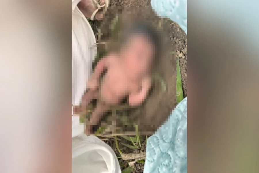 Recém-nascida é encontrada abandonada em mata na zona rural (Vídeo)