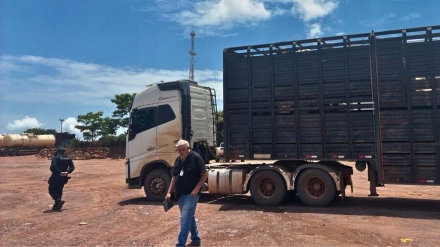 Motorista é preso em Guarantã do Norte por usar documento falso no transporte de gado