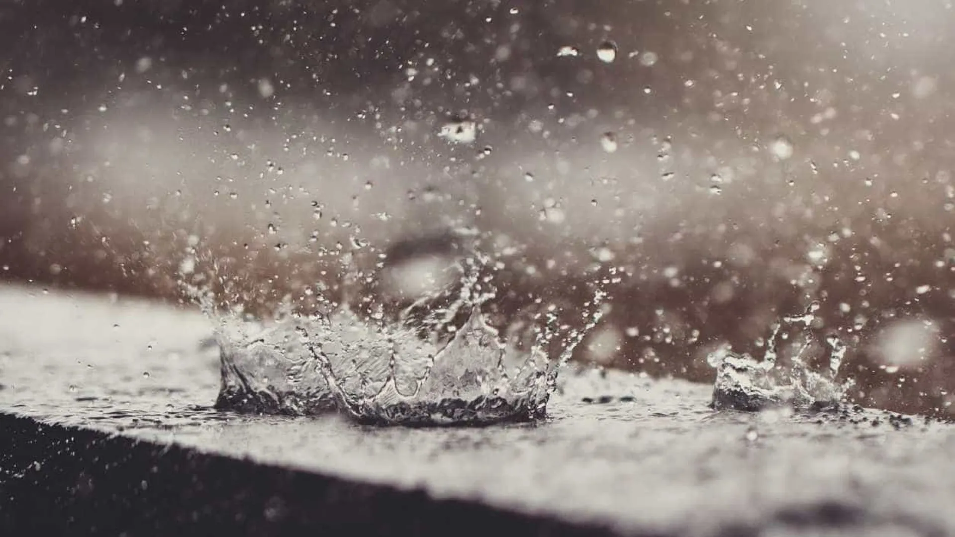 Chuva em Ubatuba supera média do mês em apenas 24 horas, segundo Defesa Civil de SP