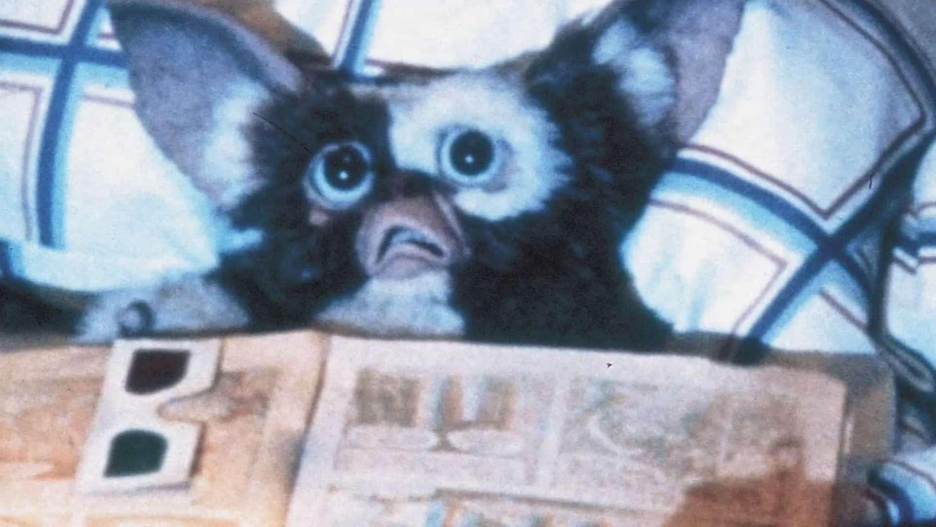 ‘Gremlins’ ganhará novo filme três décadas após último lançamento