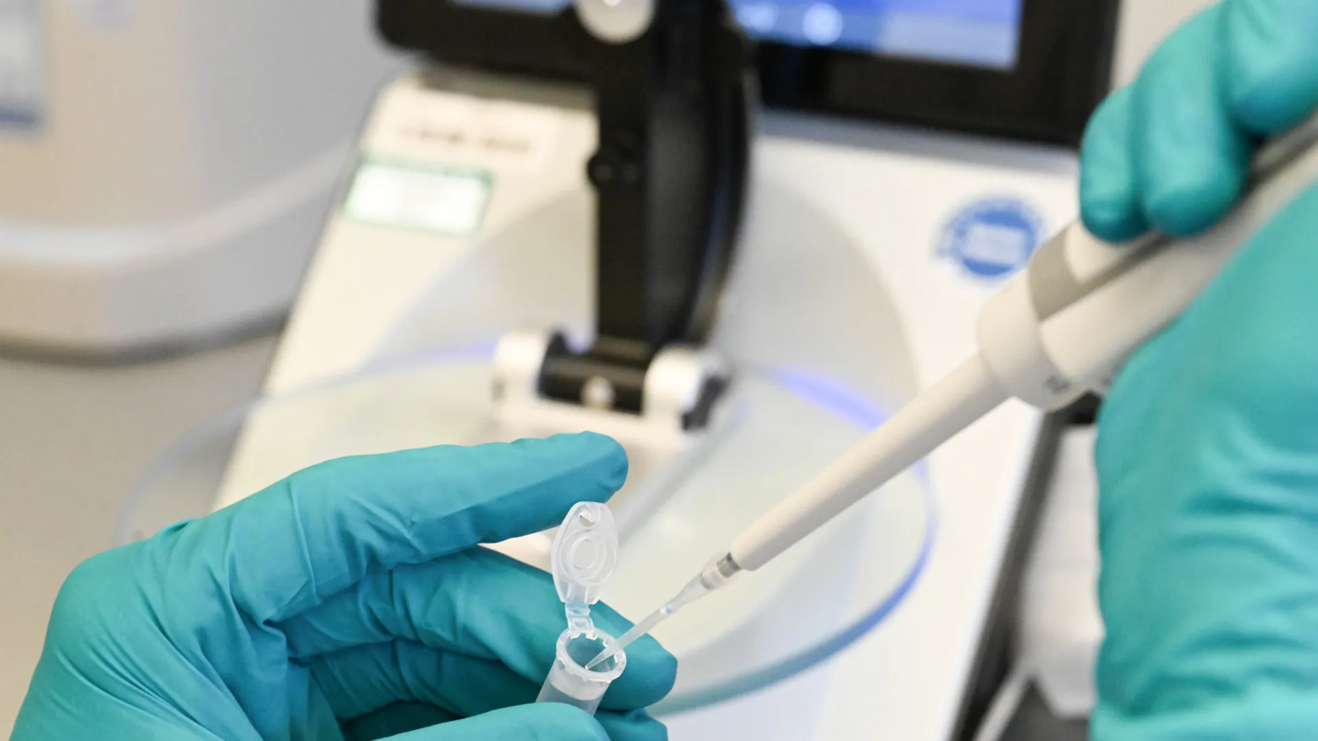 Brasil tem 17 cientistas em lista dos mais citados do mundo, 1 a mais do que em 2024