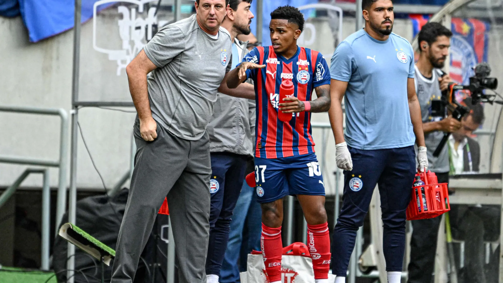 Focado na Libertadores, Bahia encara desesperado Fortaleza em clássico na Arena Fonte Nova