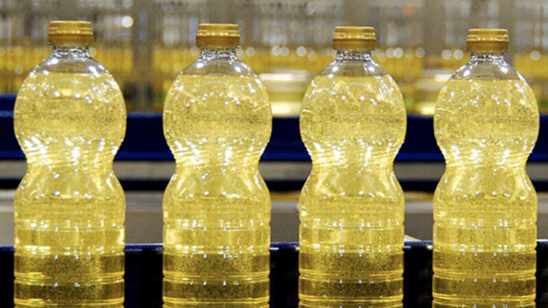 Esmagamento de soja em Mato Grosso aumenta 6,9%; margem das indústrias cresce