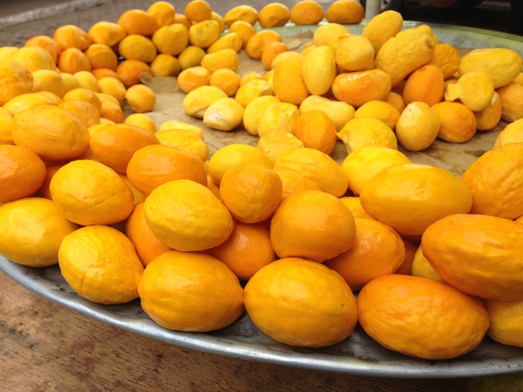 ‘Capital’ do pequi em Mato Grosso deve aumentar 30% a colheita