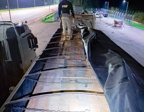 Duas cargas de madeira ilegal são apreendidas na BR-163 em Guarantã do Norte