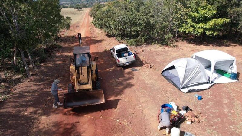 Ministério confirma caso de gripe aviária em Mato Grosso; Indea abate de aves e anuncia outras medidas